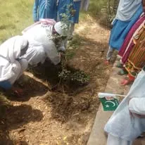 Green Seekers Activity